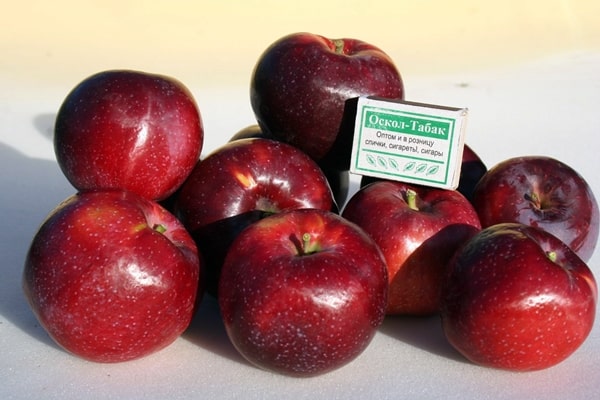 Williams Pride jablka na stole