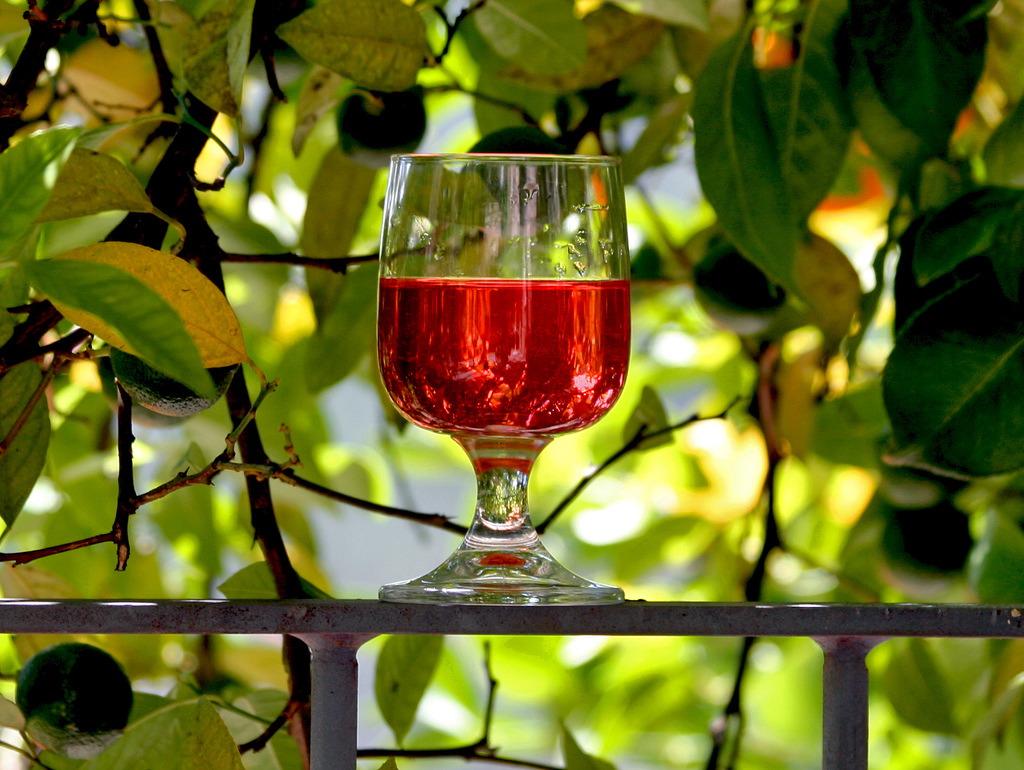 bylinné víno