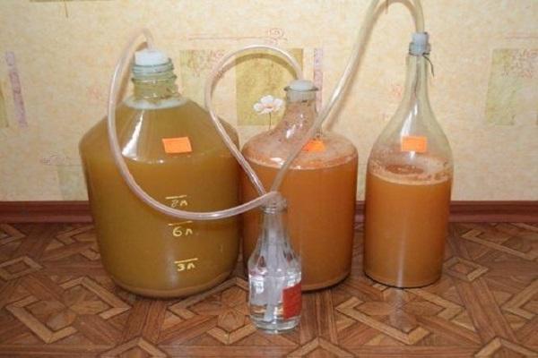 processus de fermentation 