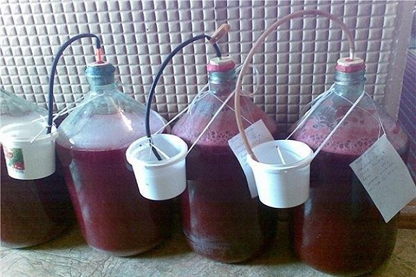 fermentation de la boisson 