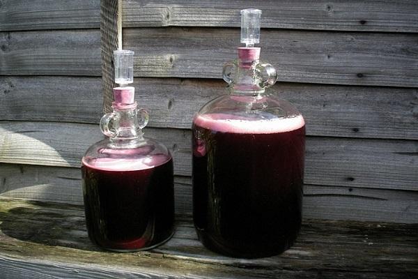 wine fermentation 