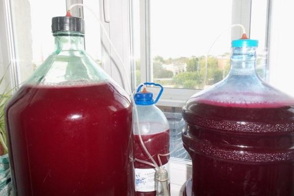 bottles with cranberries 