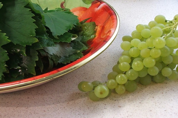 preparaciones de uva