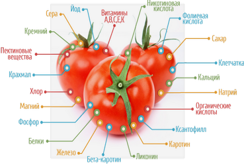 alle Vitamine