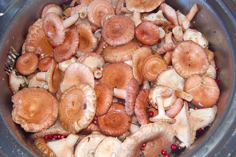 mushroom sa isang kawali