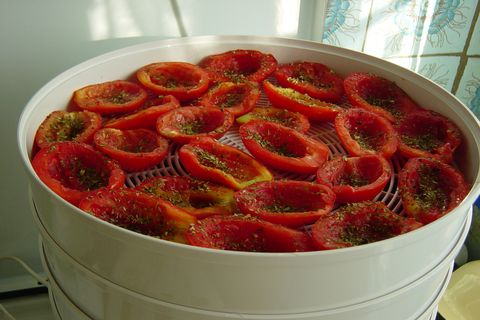 Rezept für die Zubereitung sonnengetrockneter Tomaten für den Winter in einem Gemüsedörrgerät