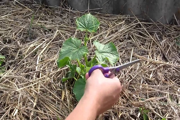 verwijder alle bloemen