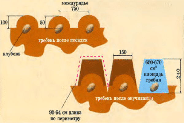 специфичан алгоритам