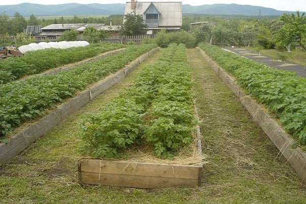 désherber et fertiliser