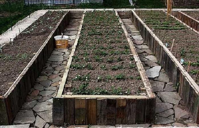 raised beds 