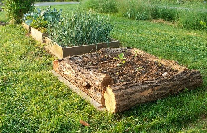 lined with logs 