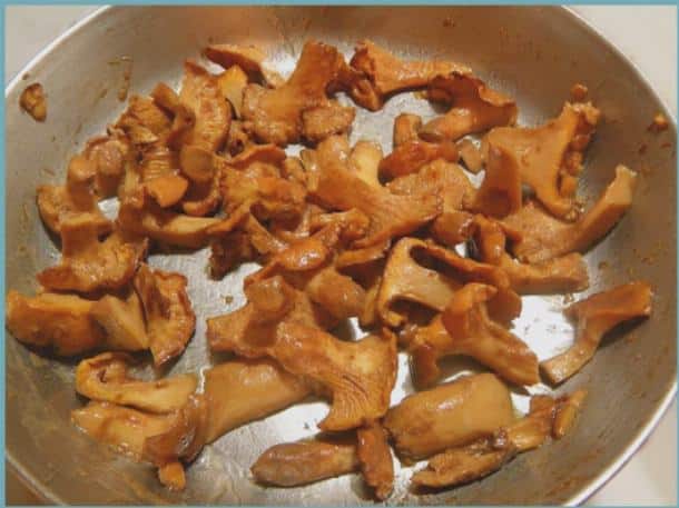 kızarmış chanterelles