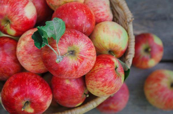 pommes rouges