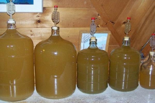 juice fermentation 