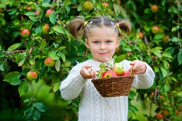 dívka s jablky 