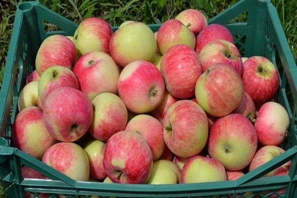 caja de manzanas 