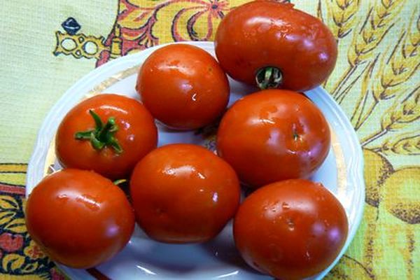 tomate dans une assiette