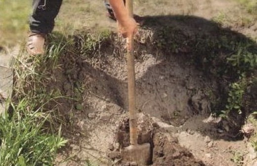 pozo para uvas