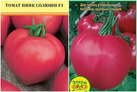 Sementes de tomate Solução Rosa