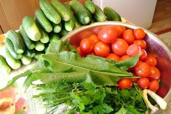 Tomaten in einer Schüssel 