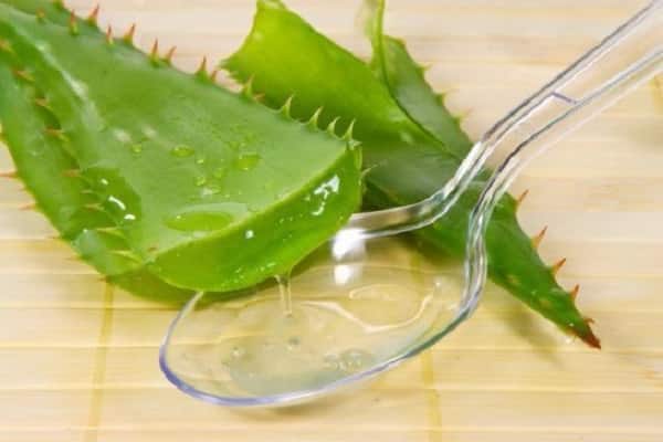 suco de aloe vera