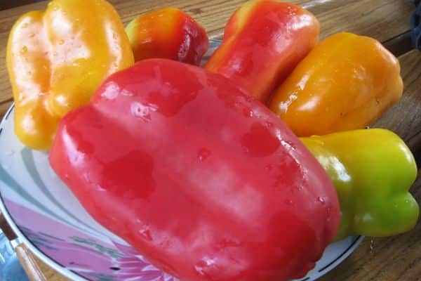 freezing bell peppers