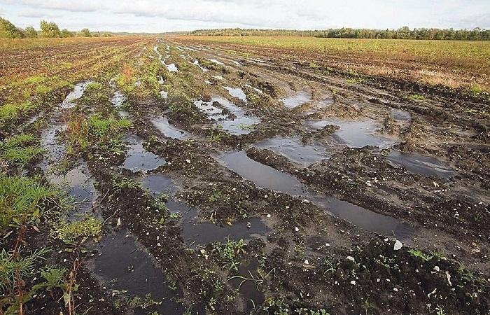 puddles in the field 