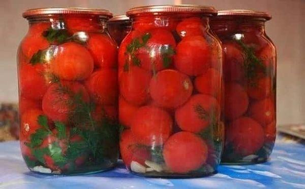 rajčata ve sklenicích