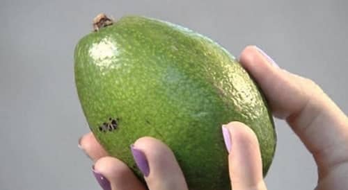 grøn avocado