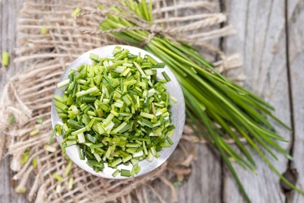 freezing green onions