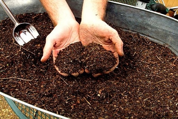 preparazione del terreno 