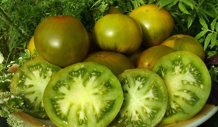 tomates sur la table