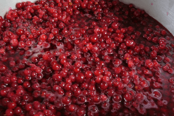 cooking currants 