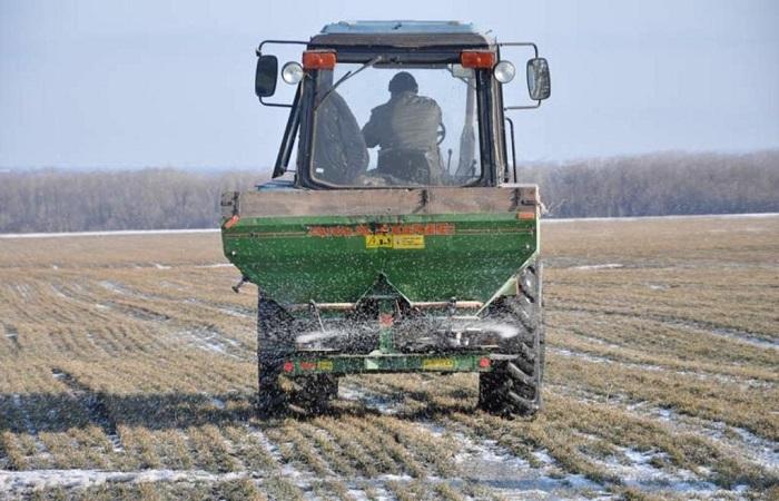 vor dem Winter düngen 