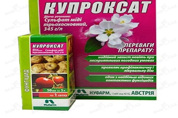 utilitzar fungicides