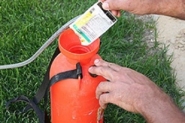 nous avons installé les stroboscopes 