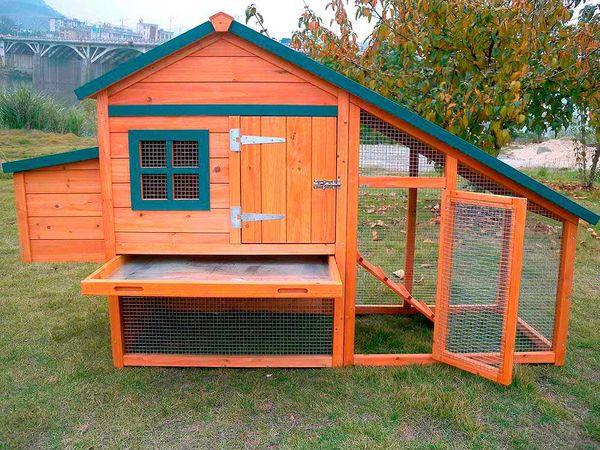 building a chicken coop