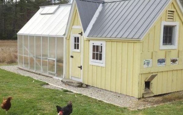 winter poultry house