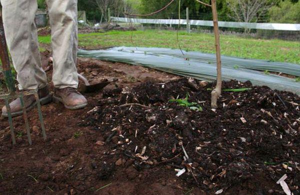 gödselmedel för plantor