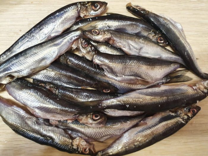 φωτογραφία ψαριών vendace