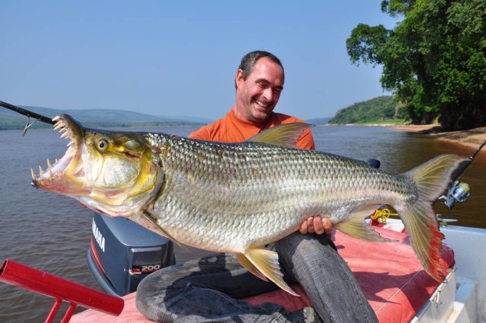 Die 31 schrecklichsten und hässlichsten Fische der Welt – ihre Beschreibungen und Eigenschaften