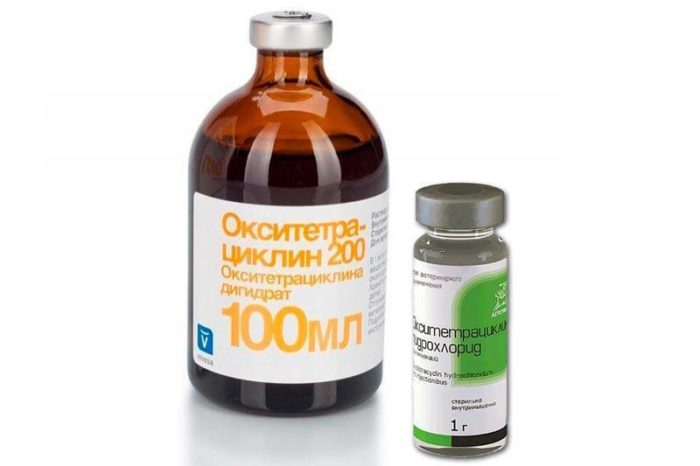 OXYTETRACYCLINE FOR BES fotó