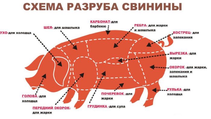 Где је задњица свиње и који је то део трупа - задњица, како се кува