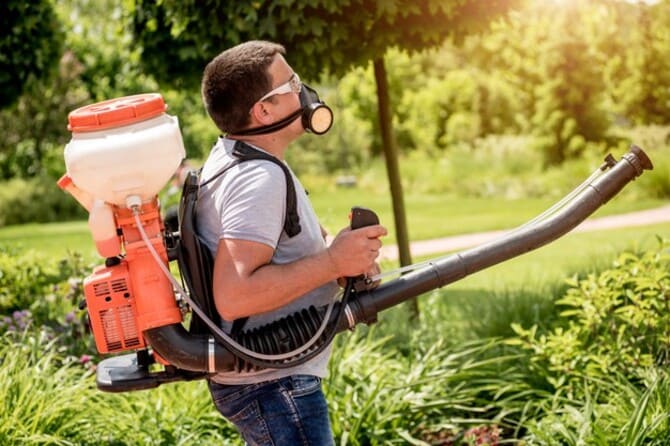 Rezepte zur Zubereitung einer höllischen Mischung gegen Krankheiten und Schädlinge im Garten und Gemüsegarten