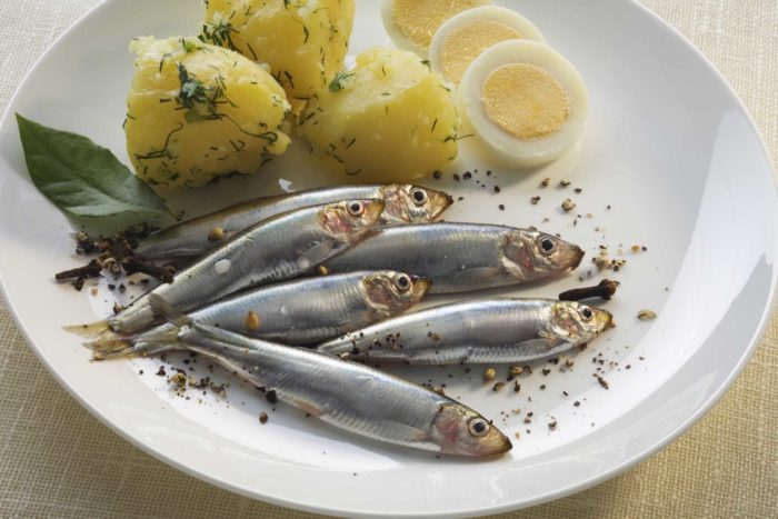 Kde se šprot vyskytuje a co tato ryba jí, její použití při vaření